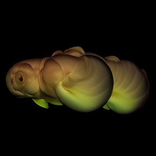 StreamDiffusion Generation 3